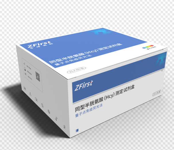 同型半胱氨酸（Hcy）測定試劑盒