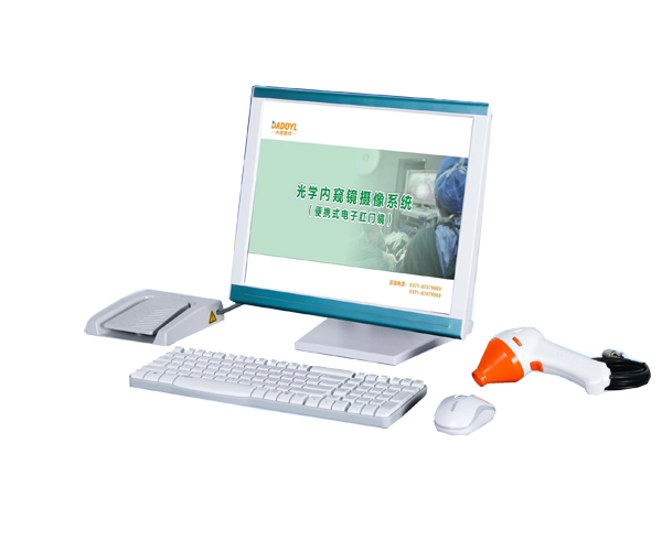 便攜式電子肛門鏡 DD-100型
